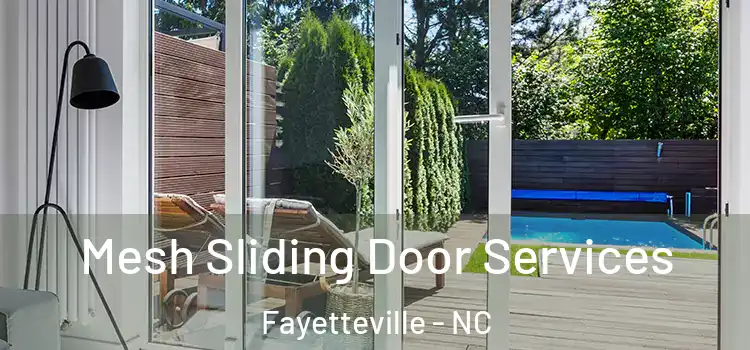 Mesh Sliding Door Services Fayetteville - NC